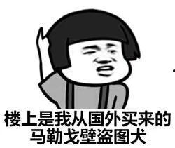 去你马勒戈壁表情包,揭秘“去你马勒戈壁”表情包背后的故事