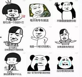 流星花园动态表情包,青春回忆中的甜蜜瞬间